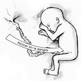 Ilustración de un bebé en el vientre unido al cordón umbilical con una flecha etiquetada “glucosa” apuntando hacia el bebé.