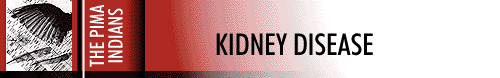 Kidney Disease of Diabetes in the Pima Indians.