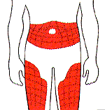 Ilustración del torso de una persona mostrando las diferentes regiones donde se puede suministrar una inyecció
     de insulina