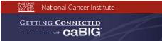 caBIG™ Logo
