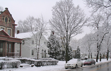 Winter in the neighborhood