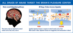 All drugs of abuse target the brain's pleasure center diagram