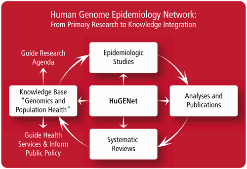 Diagram, Human Genome Epidemiology Network. Click to read text description.