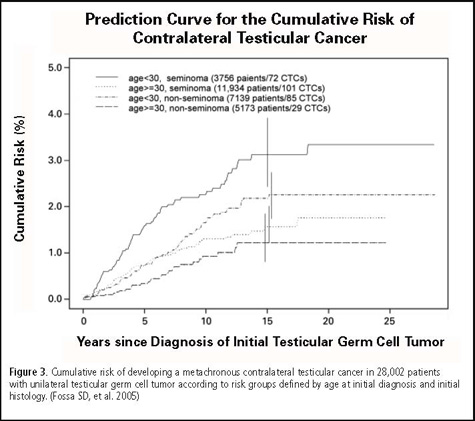 Graph: Prediction Curve for the Cumulative Risk of Contralateral Testicular Cancer