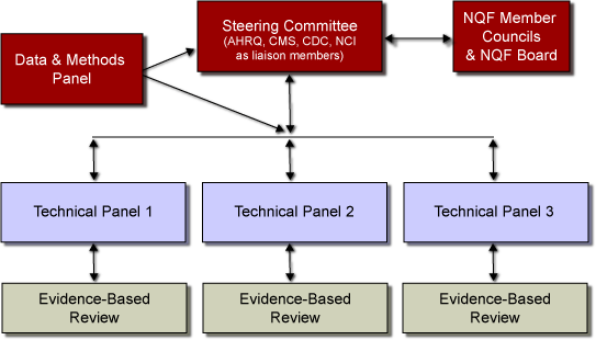 Flowchart illustrating relationships between panels and committees in the Phase II framework