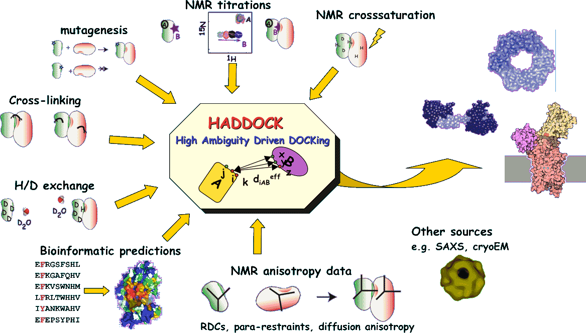 haddock2