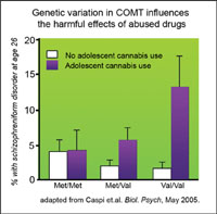 Genetic variation in COMT influences the harmful effects of adused drugs graph