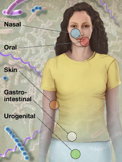 Scope of the Human Microbiome Project