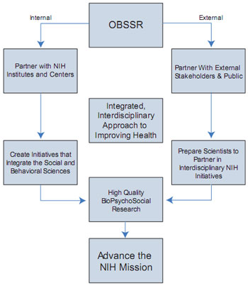 Internal and external components of the OBSSR vision