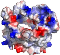 Structure of VDAC1. Courtesy of Gerhard Wagner, Harvard Medical School.