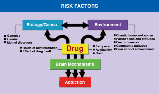Risk Factors graphic
