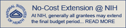 No-Cost Extension at NIH