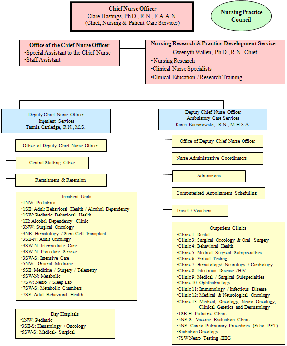 NPCS Organizational chart. A text description of this graphic can be found at http://www.cc.nih.gov/nursing/whoweare/org_structure.html