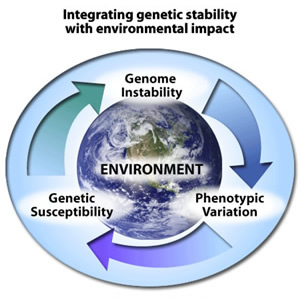 Integrating genetic stability with environmental impact. Photo of Earth surrounded by circular flow chart with three concepts: Genome Instability, Phenotypic Variation and Genetic Susceptibility.