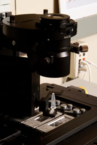 Cut samples are extracted by cap touch isolation