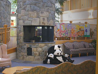 Hearth and general social area in lobby