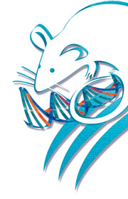 Mouse-DNA graphic