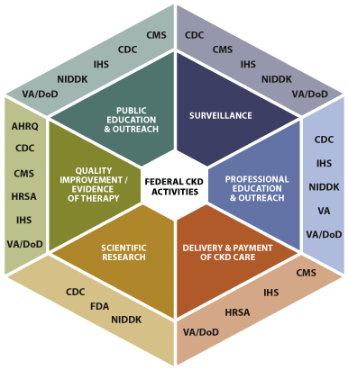 Federal CKD Response