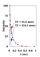 T2 data from CPMG experiments. Plots of mitochondria in solution (36mg/ml, T=37oC, 7 T) 