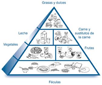 Ilustración de la pirámide alimenticia dividida en seis secciones. Cada sección se etiqueta con el nombre del grupo de comidas y muestra ejemplos de comidas de aquel grupo. En la base de la pirámide se encuentras las féculas, encima de la base se encuentran dos grupos: los vegetales y las frutas. El grupo de lácteos y de la carne y sustitutos de la carne están sobre los vegetales y las frutas. Las grasas y dulces están encima de las demás secciones de comida.