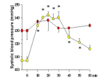 CB1 antagonist reverses hypotension in cirrhotic rats. 