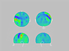 Topography of ERP response to tactile stimulus at approximately 50 ms after stimulus presentation