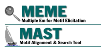 Meme/Mast Logo