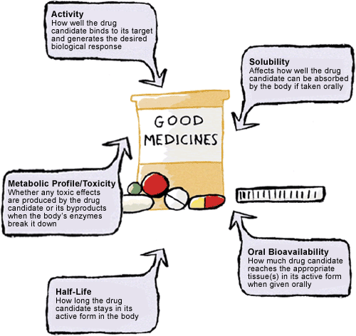 Illustration of the various components of a good medicine: the best possible activity, solubility, bioavailability, half-life, and metabolic profile