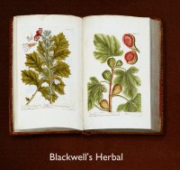 Blackwell's Herbal open book displaying her plant drawings