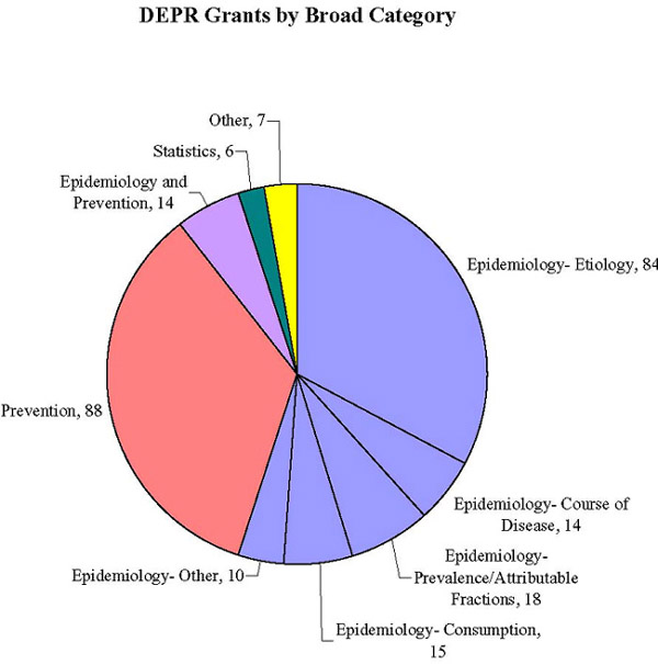 DEPR Grants by Broad Category