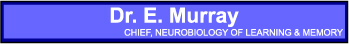 Link to Section on Neurobiology of Learning & Memory