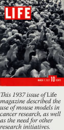 1937 Issue Cover of Life Magazine