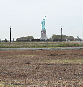 contaminated soil photo