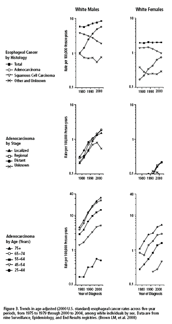 Figure 3 caption. Trends in age-adjusted (2000 U.S. standard) esophageal cancer rates across five-year periods, from 1975 to 1979 through 2000 to 2004, among white individuals by sex. Data are from nine Surveillance, Epidemiology, and End Results registries. (Brown LM, et al. 2008) If you’d like more information about this graph, contact Dr. Devesa at devesas@mail.nih.gov.