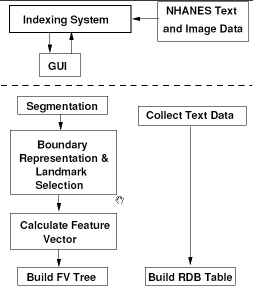 Image CBIR2 Indexing System