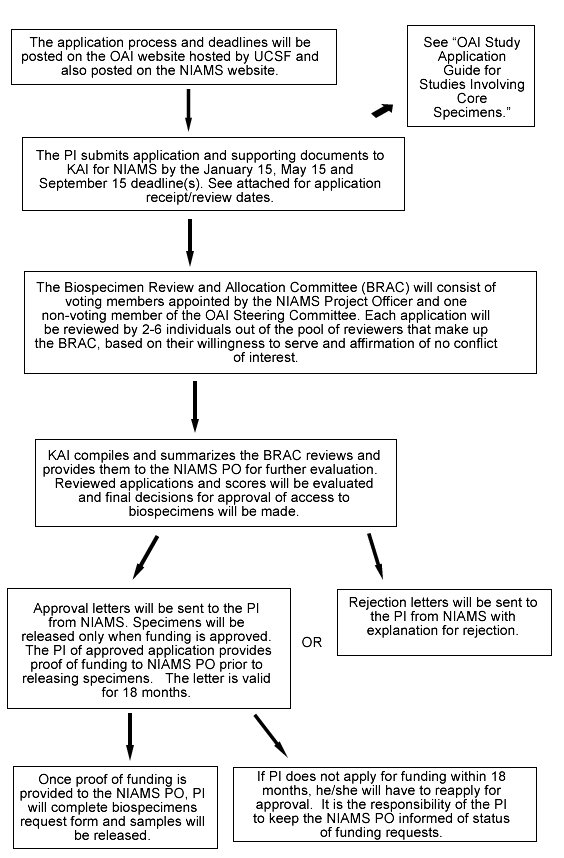 Flow chart showing stages of the application review process.
