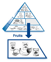 An enlarged drawing of the fruits group below a drawing of the diabetes food pyramid. The enlarged drawing is labeled fruits. The section includes drawings of a can of apple juice, an orange and several orange sections, a banana, an apple, a box of raisins, and a can of peaches.