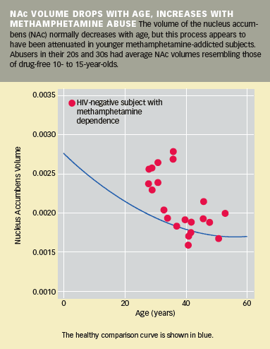 NAc Volume Drops With Age, Increases With Methamphetamine Abuse -  Graphic