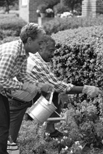 Photo of a mature couple working in their garden