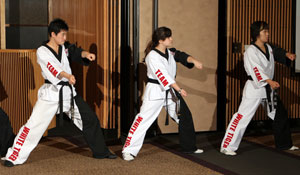 These students demonstrate the choreography of Martial Arts as they move dance-like in unison.