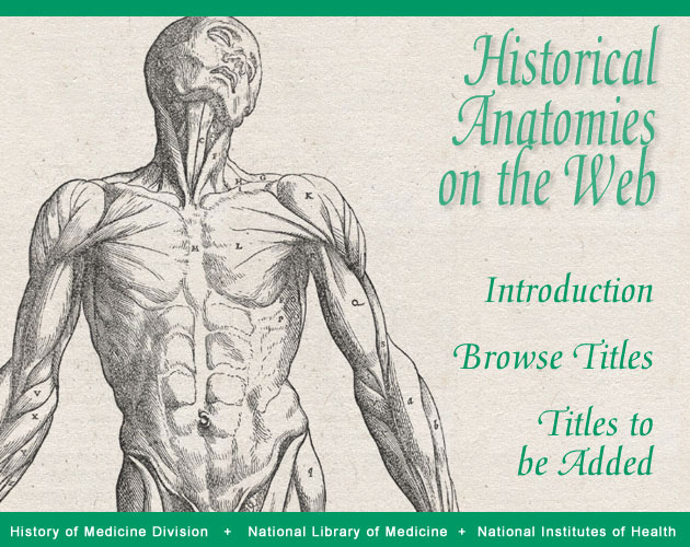 Historical Anatomies on the Web