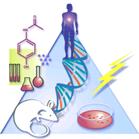 Blue triangle with several icons arranged in front: human, roddent, dna strand, chemical structure, test tubes, flasks, electricity, and a petri dish