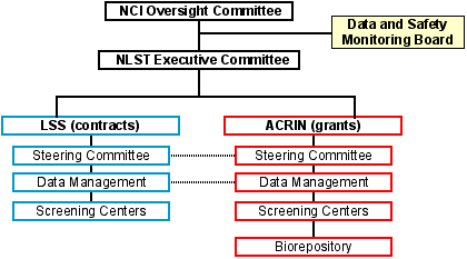 NLST Structure