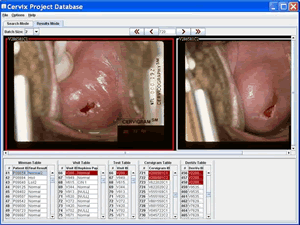 A screenshot the Multimedia Database Tool.
