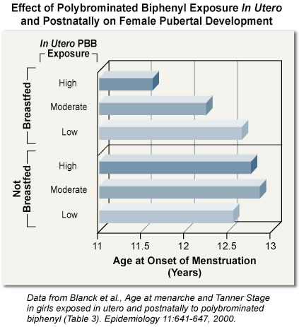 Endocrine Disrupting Compounds: Effect of Polybrominated Biphenyl Exposure In Utero & Postnatally on Female Pubertal Development