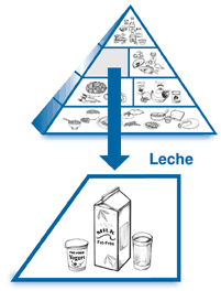 Ilustración de la pirámide alimenticia, con la sección de leche y yogur agrandada para enseñar dibujos de un vaso de leche, un cartón de leche, y una copa de yogur.