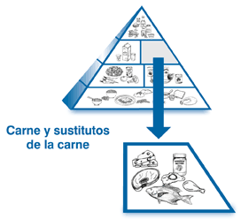 Ilustración de la pirámide alimenticia, con la sección de carne y sustitutos de carne agrandada para enseñar dibujos de carne, pollo, pescado, huevos, queso y mantequilla de maní.