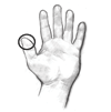Ilustración de una mano abierta con la palma hacia arriba, con el círculo alrededor de la punta del dedo gordo para mostrar el equivalente de una porción de una cuchara. 
