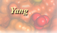 The Yang Lab Homepage
