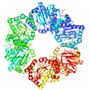 an image of the enzyme nicotinic acid phosphoribosyltransferase